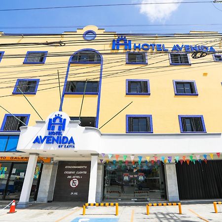 Hotel Avenida Cancun Exterior photo